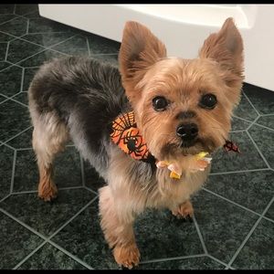 Meet your Posher, Keli